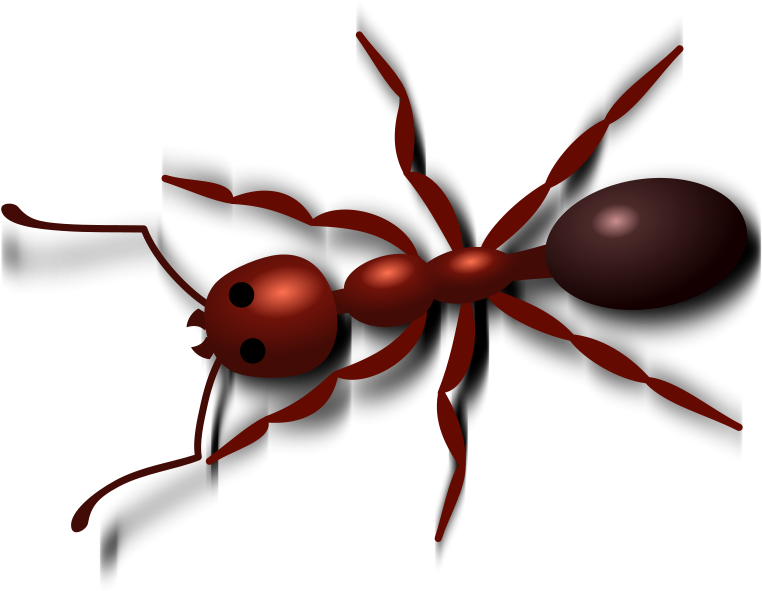 Red Ant Illustration PNG Image