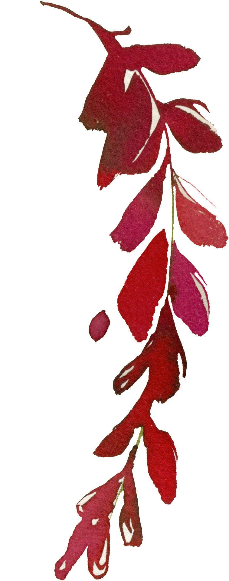 Red Autumn Leaves Illustration PNG Image