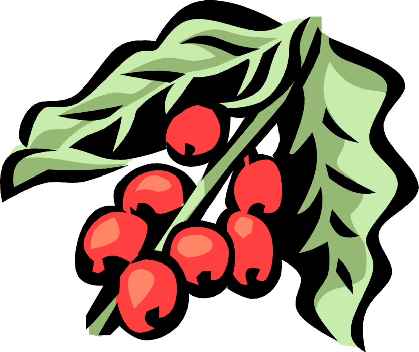 Red Beans Illustration PNG Image