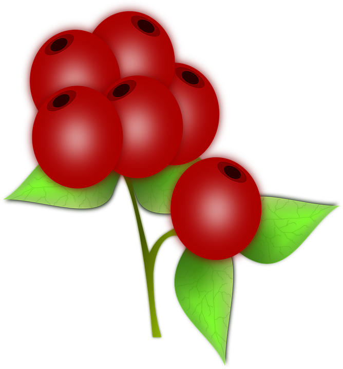 Red Berries Illustration PNG Image