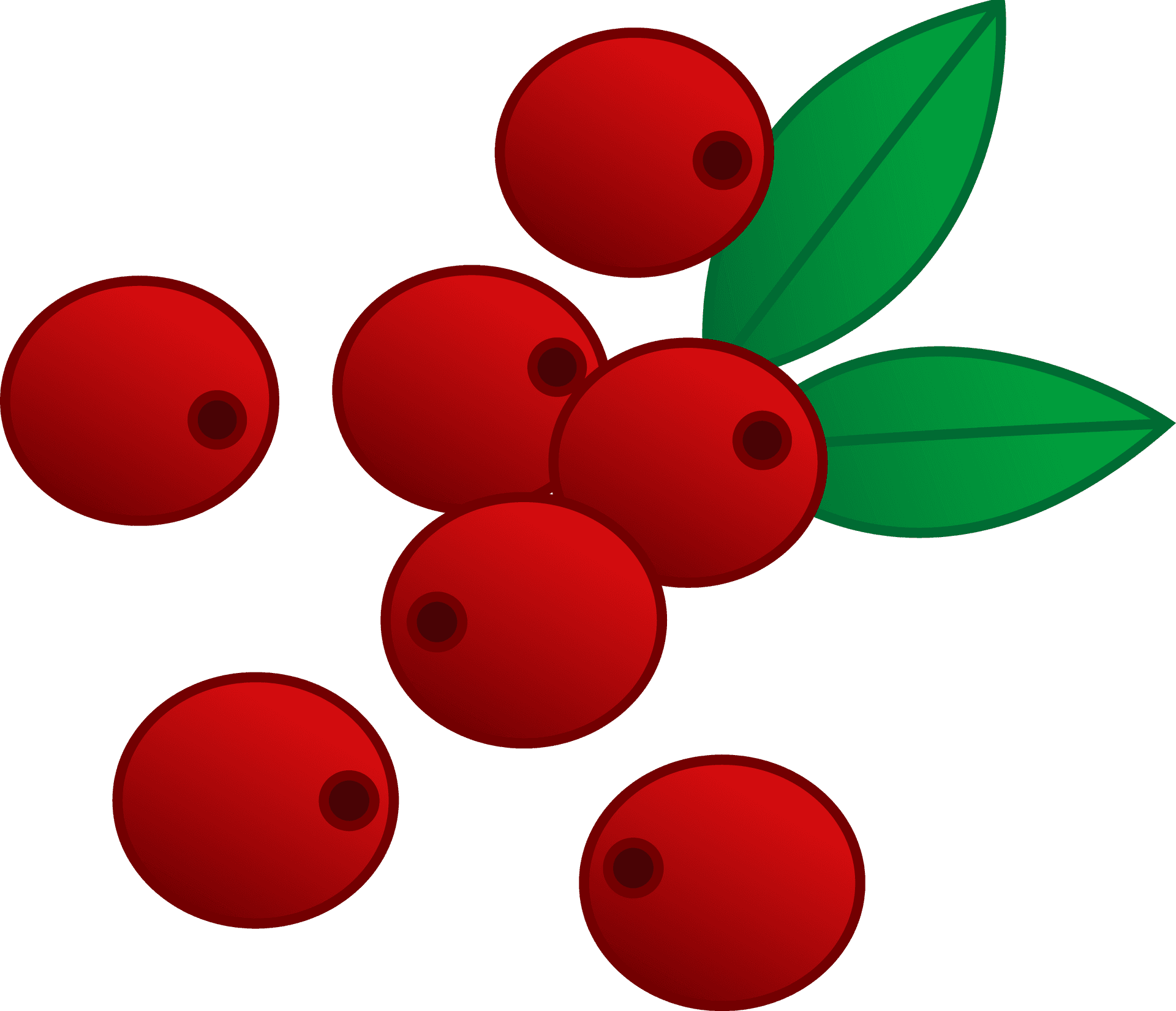 Red Berries Illustration PNG Image