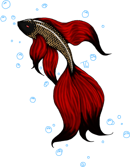 Red Betta Fish Artwork PNG Image