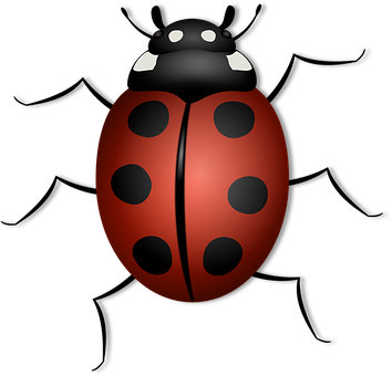 Red Black Ladybug Illustration PNG Image