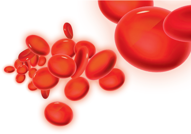 Red Blood Cells Illustration PNG Image