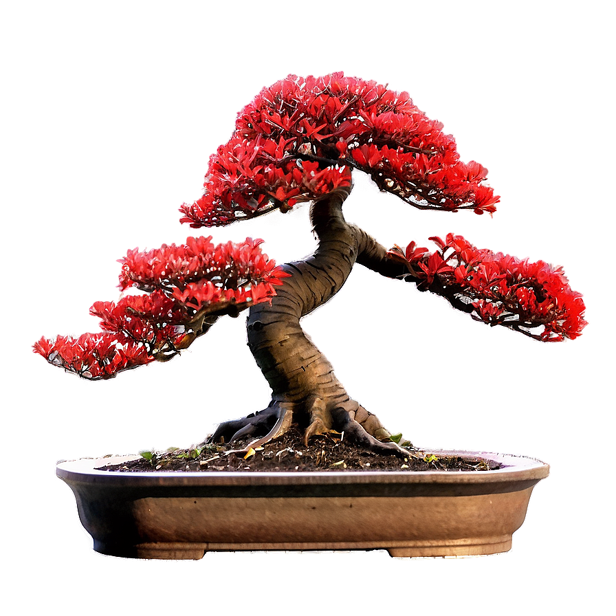 Red Bonsai Tree Drawing Png Tfg PNG Image