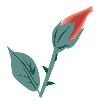 Red Bud Flower Illustration PNG Image