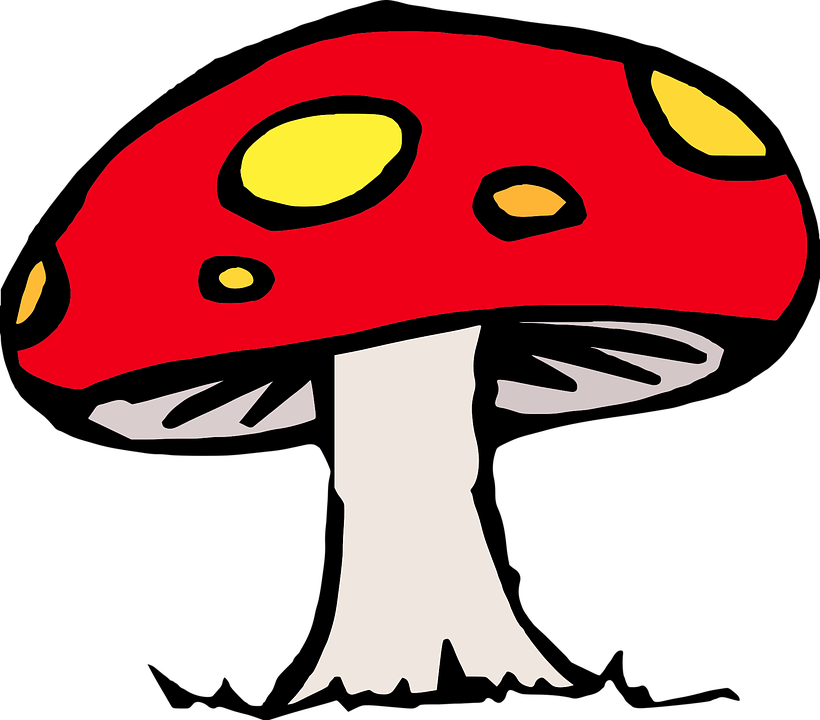 Red Capped Mushroom Illustration.png PNG Image