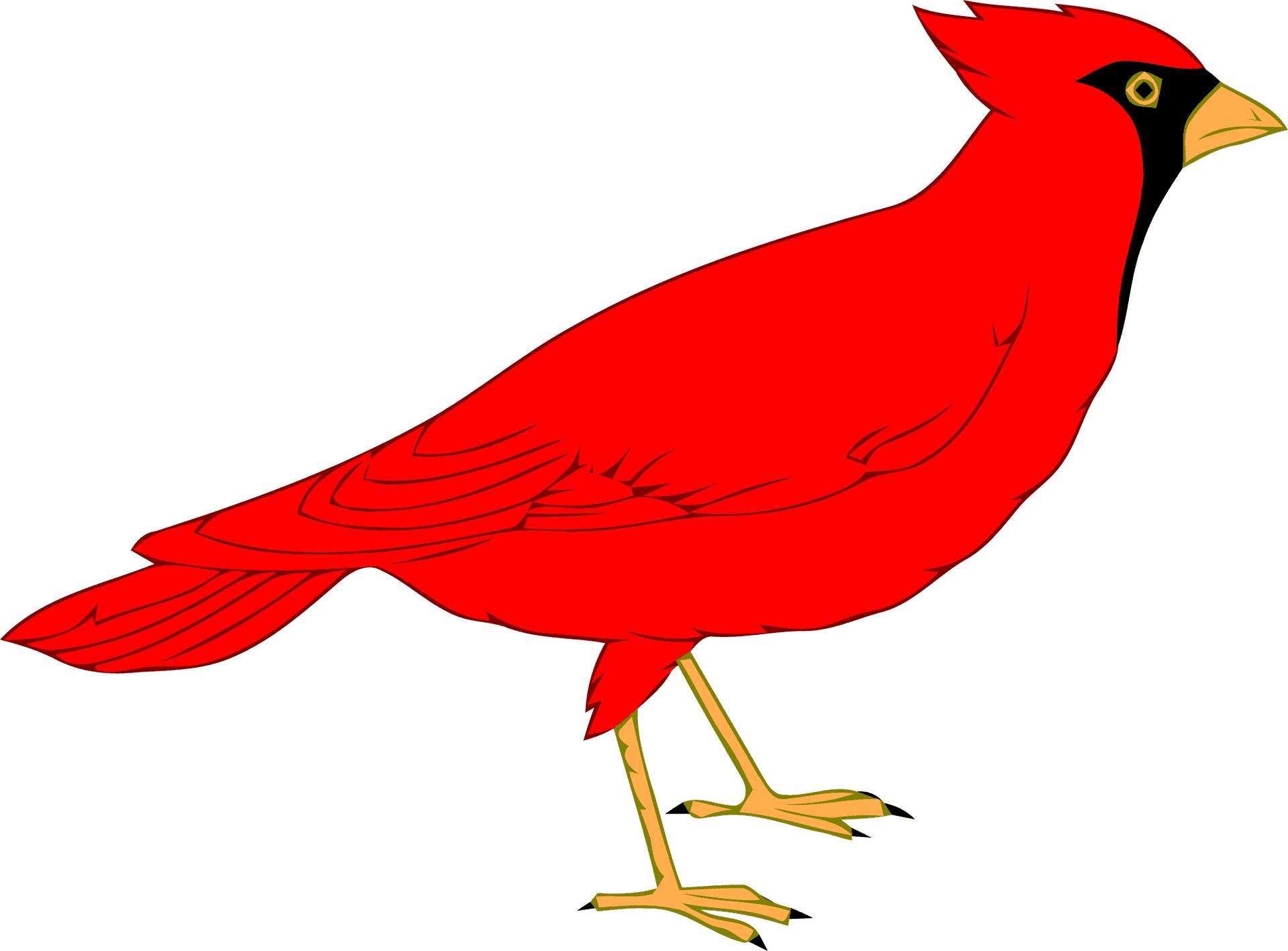 Red Cardinal Bird Illustration PNG Image