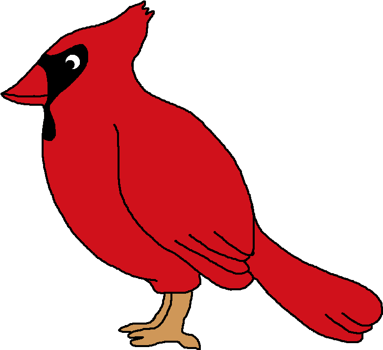 Red Cardinal Cartoon Illustration PNG Image