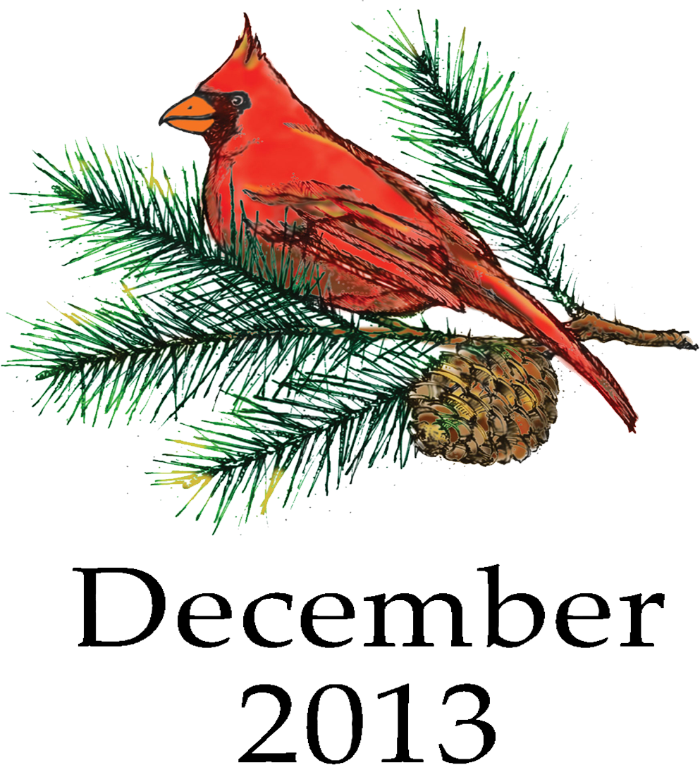 Red Cardinal December2013 PNG Image