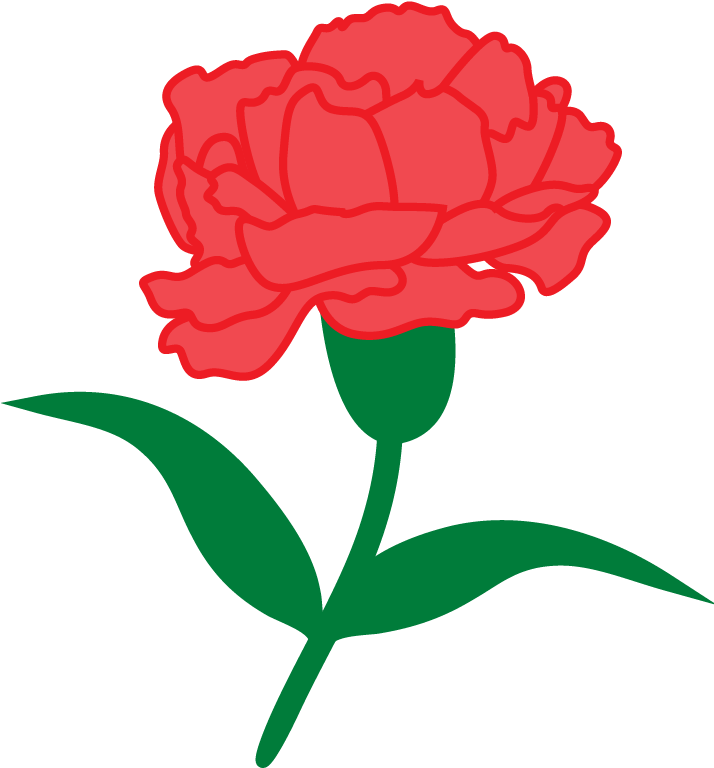 Red Carnation Vector Illustration PNG Image