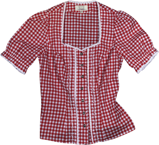 Red Checkered Blousewith Lace Trim PNG Image