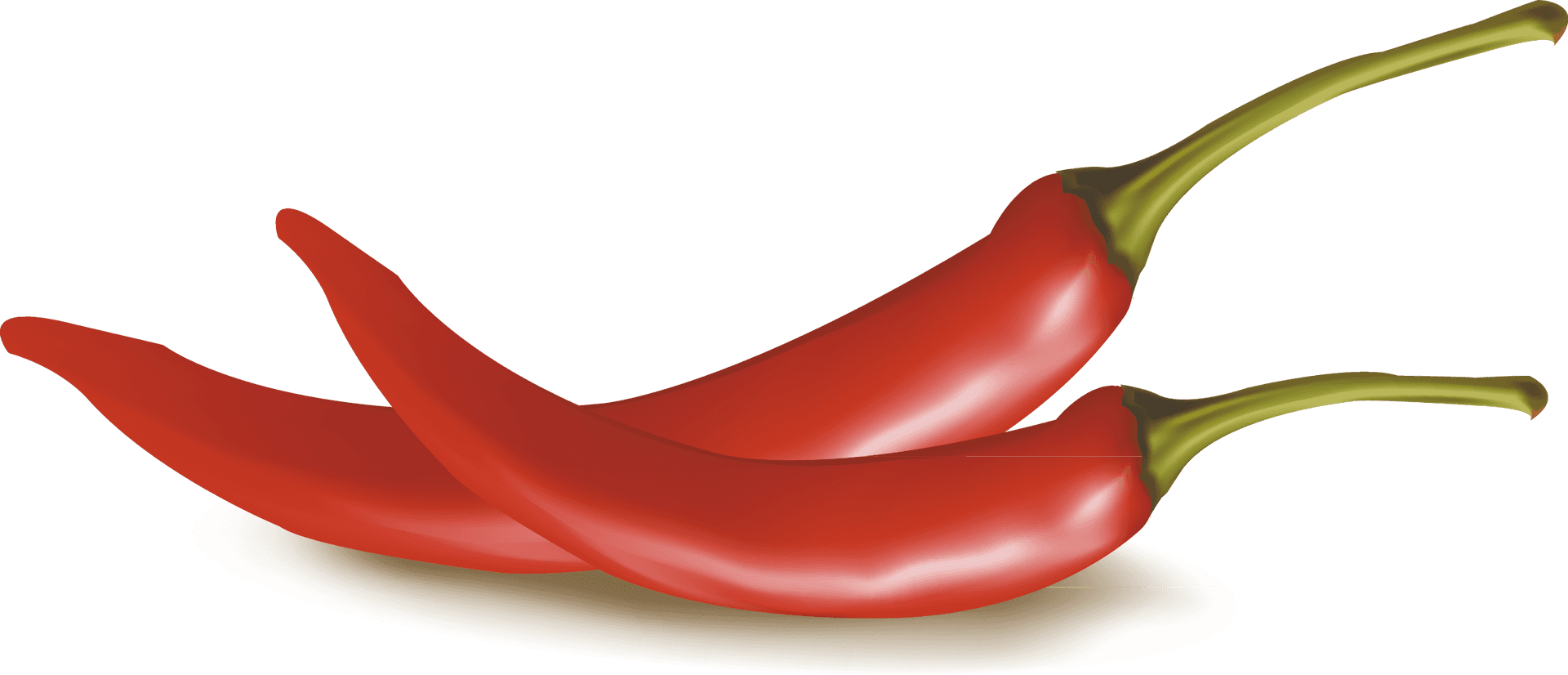 Red Chili Peppers Vector Illustration PNG Image