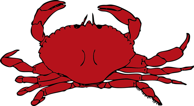 Red Crab Illustration PNG Image