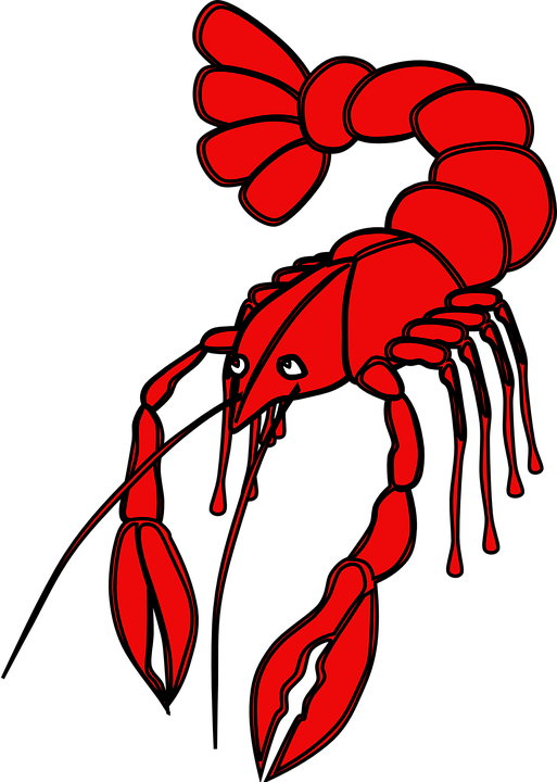 Red Crayfish Illustration PNG Image