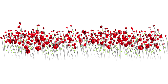 Red Floral Patternon Black Background PNG Image