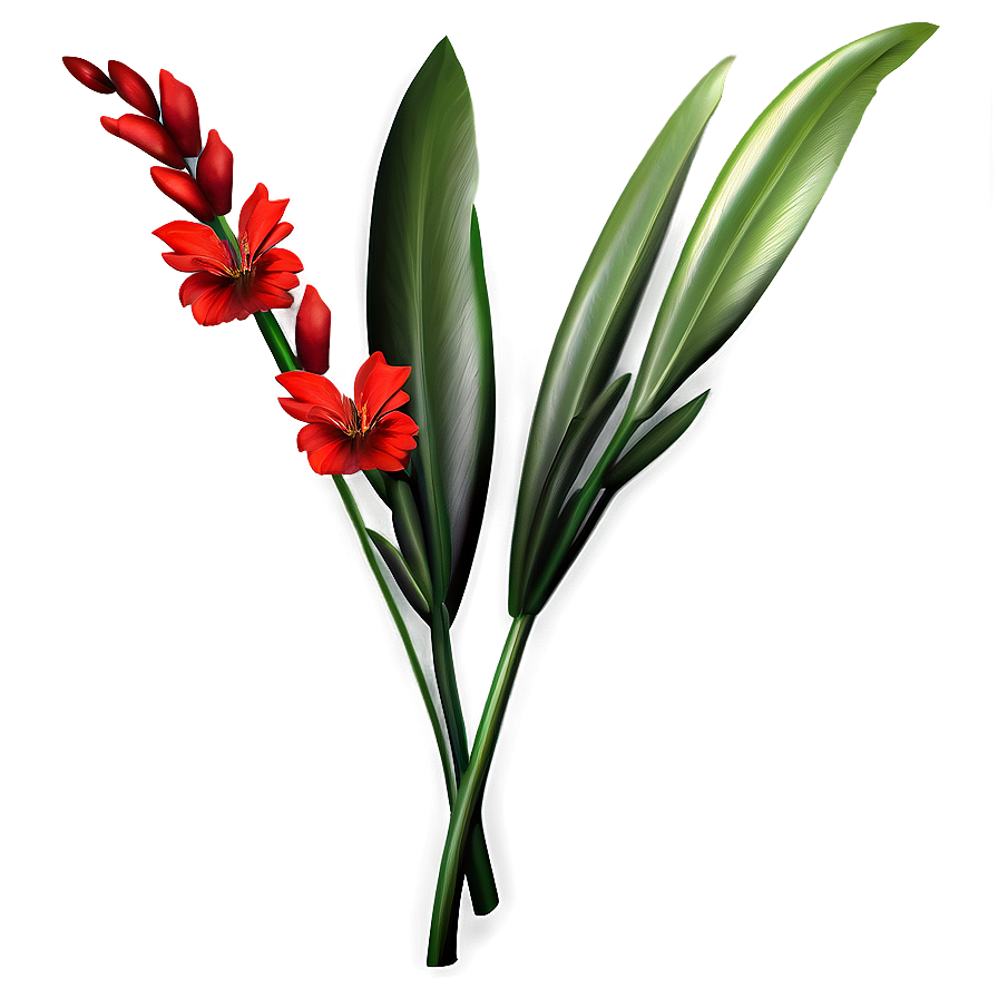 Red Flowers A PNG Image