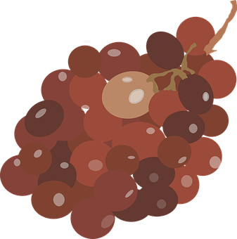 Red Grape Cluster Illustration PNG Image