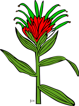 Red Green Floral Illustration PNG Image