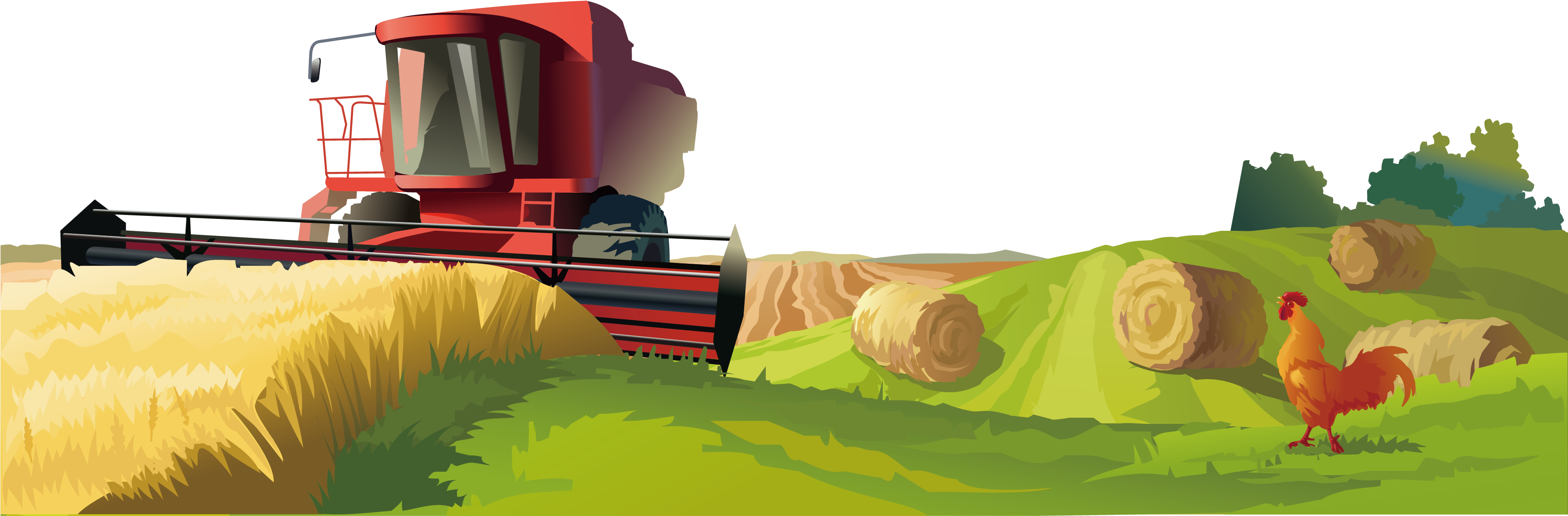 Red Harvesterin Golden Field PNG Image