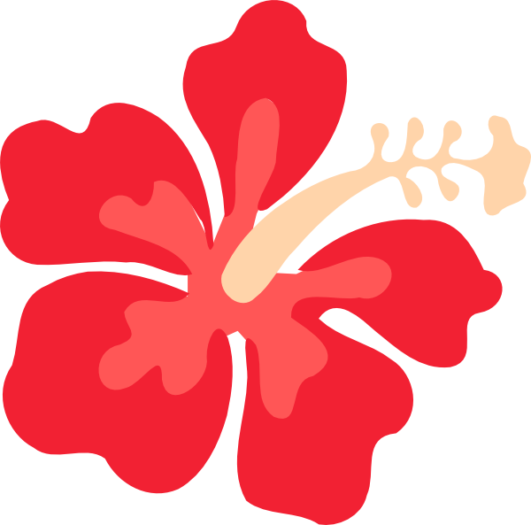 Red Hibiscus Graphic PNG Image