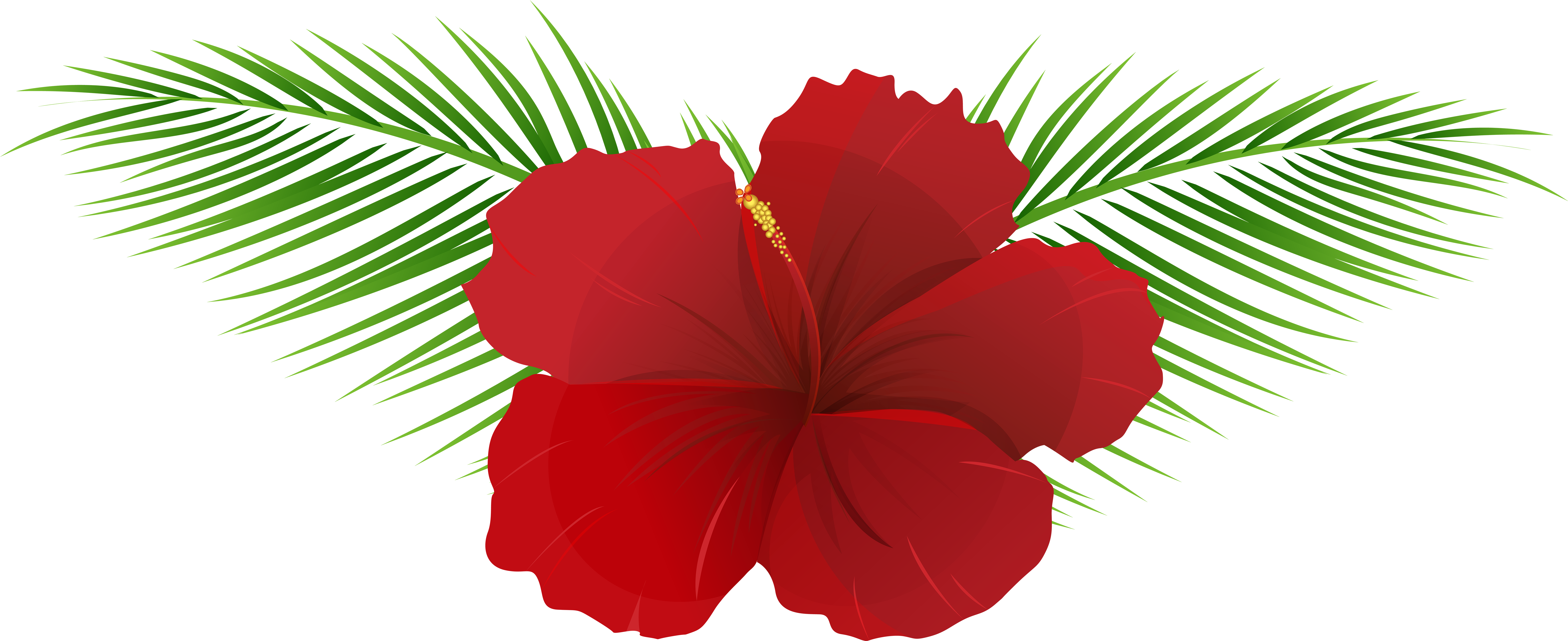 Red Hibiscuswith Green Leaves Vector PNG Image