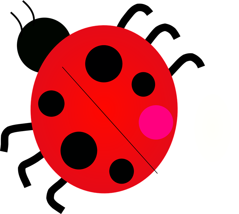 Red Ladybug Cartoon Graphic PNG Image