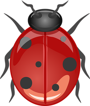 Red Ladybug Cartoon Graphic PNG Image