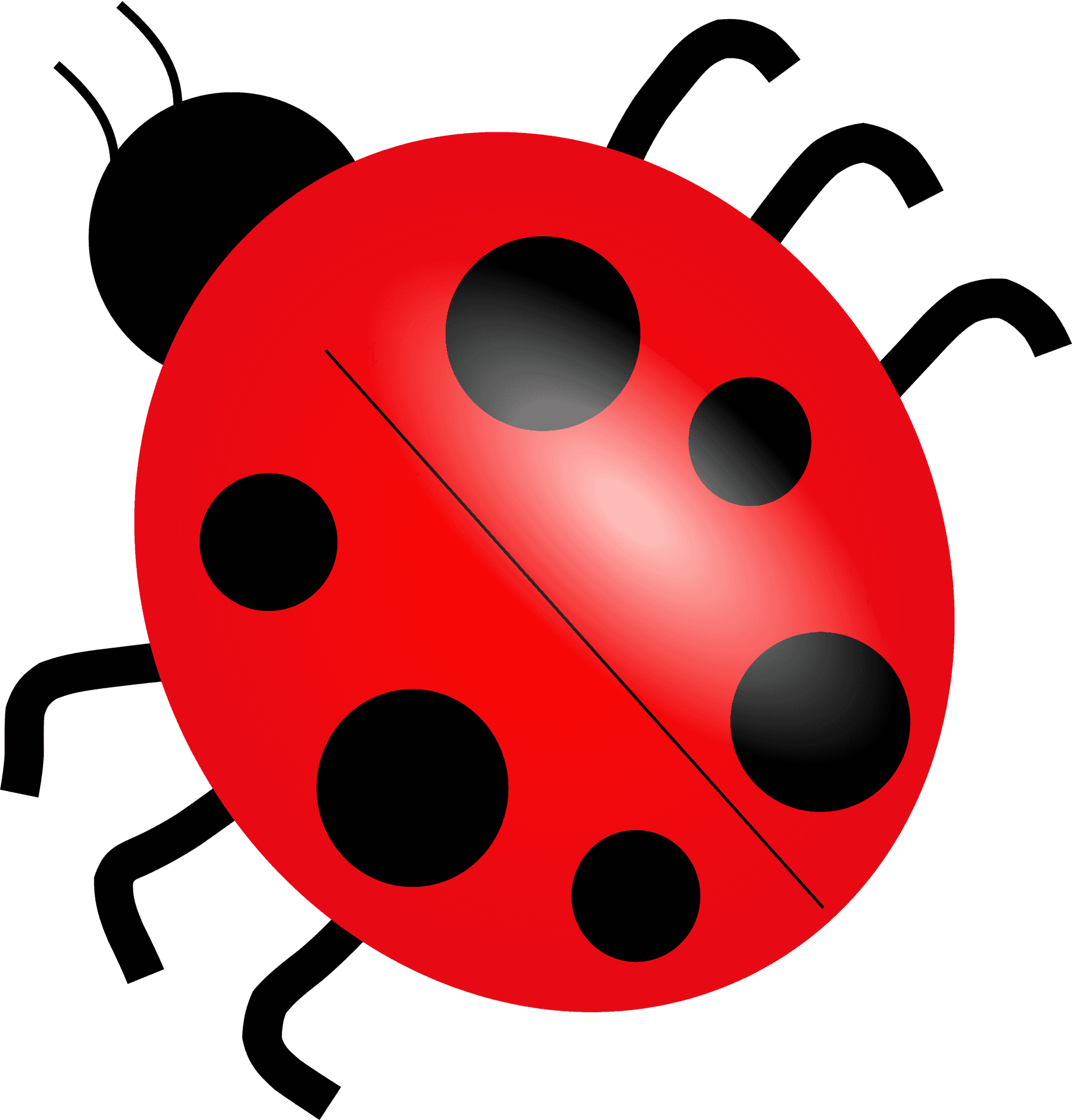 Red Ladybug Illustration.png PNG Image