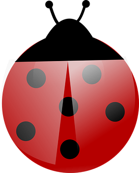 Red Ladybug Illustration PNG Image