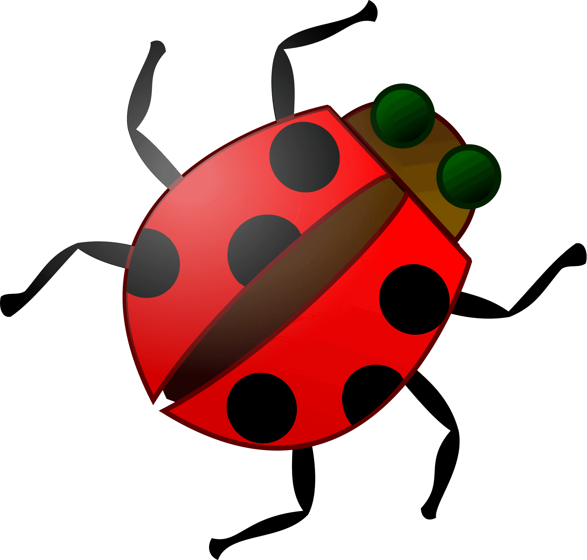 Red Ladybug Illustration PNG Image