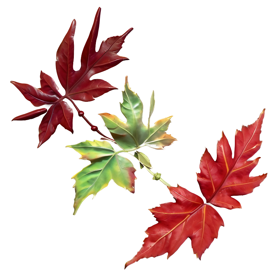 Red Leaves Falling Png 06132024 PNG Image