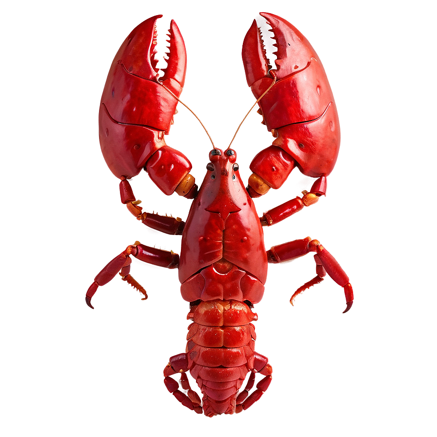 Red Lobster A PNG Image