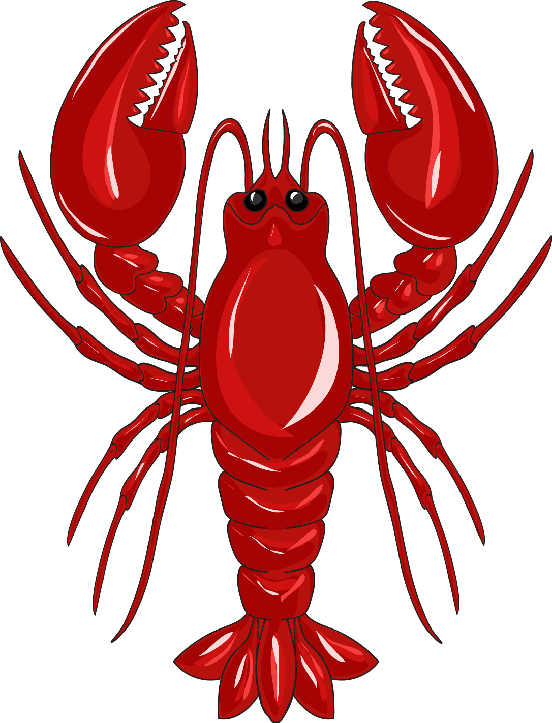 Red Lobster Illustration.png PNG Image