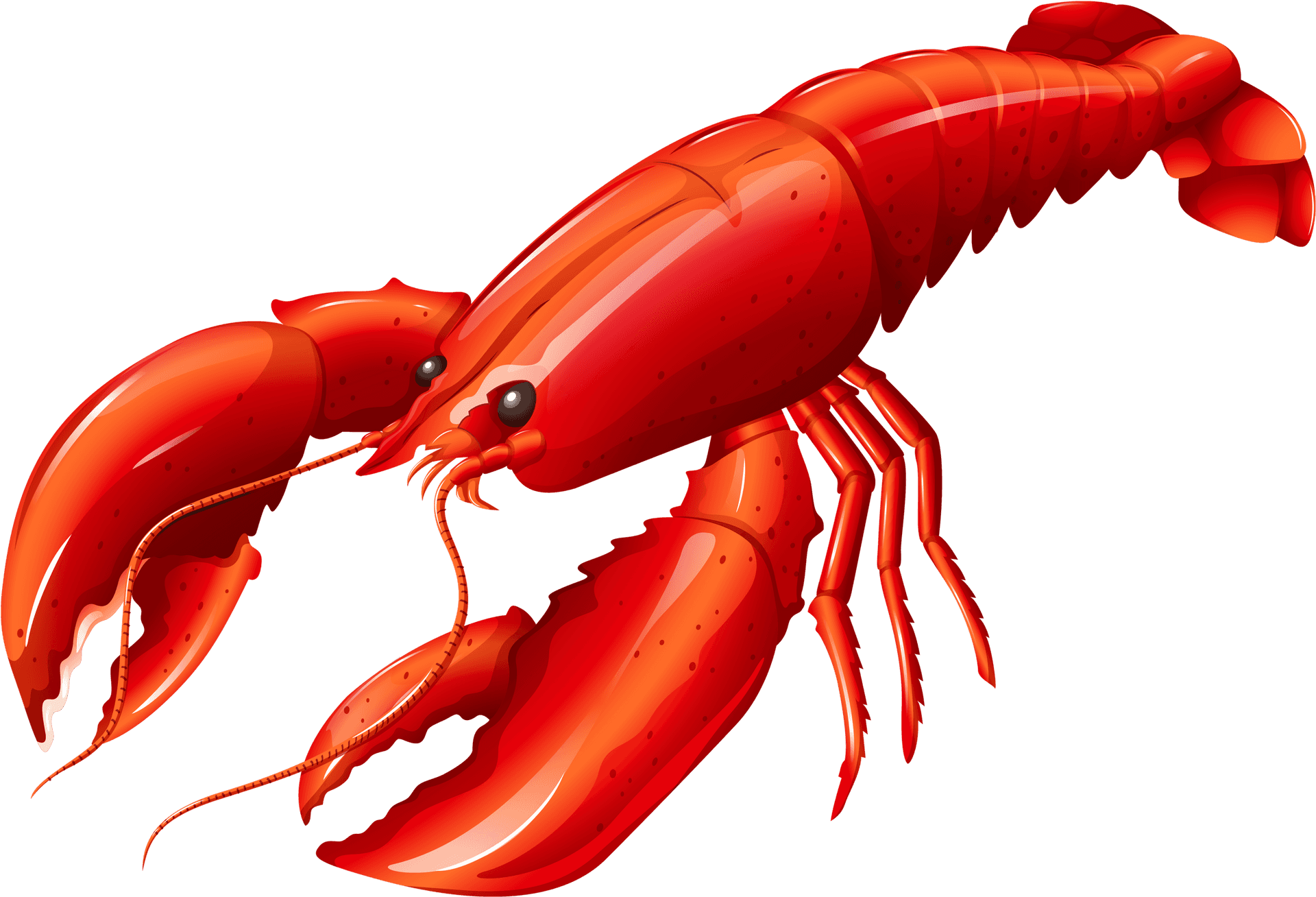 Red Lobster Illustration PNG Image