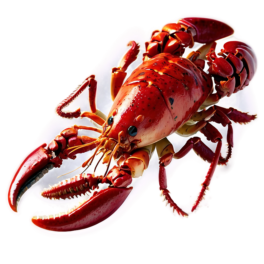 Red Lobster Seafood Png 48 PNG Image