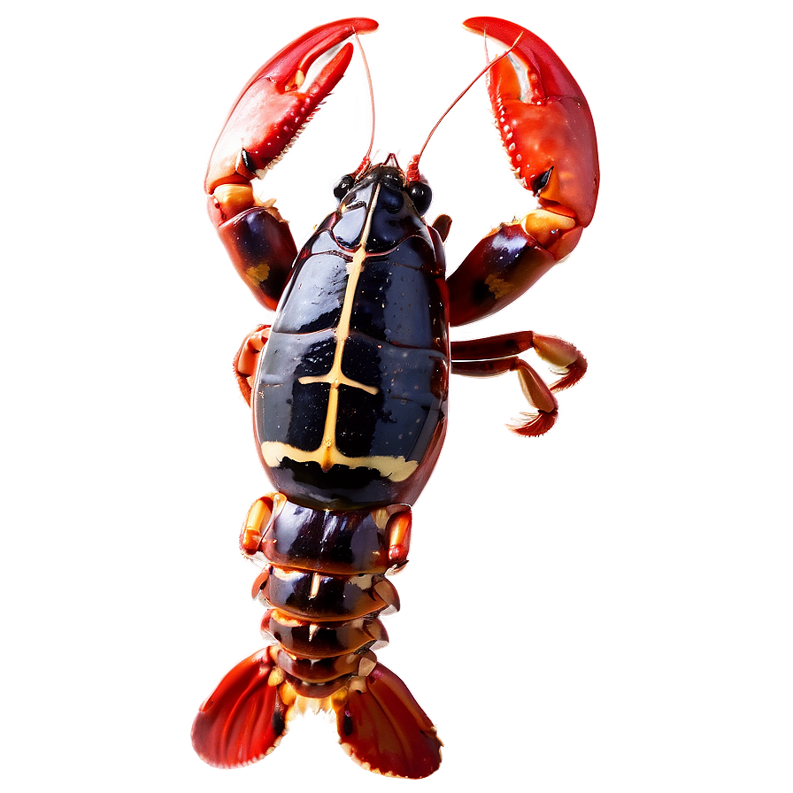 Red Lobster Seafood Png Qwa PNG Image