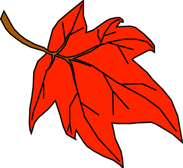 Red Maple Leaf Graphic PNG Image