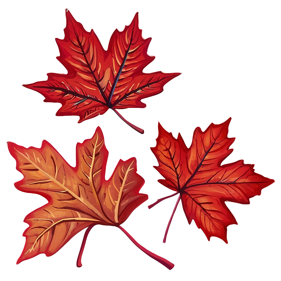 Red Maple Leaves Fall Png Qrx PNG Image