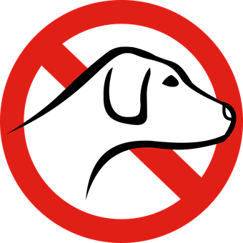 Red No Symbol Graphic PNG Image