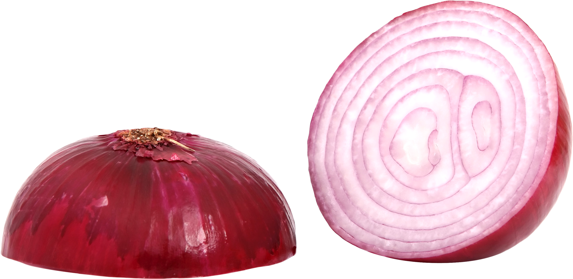 Red Onion Halfand Cross Section PNG Image