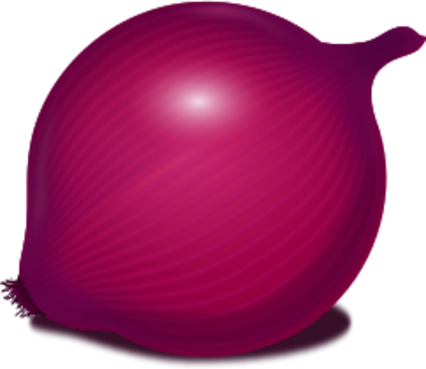 Red Onion Illustration PNG Image