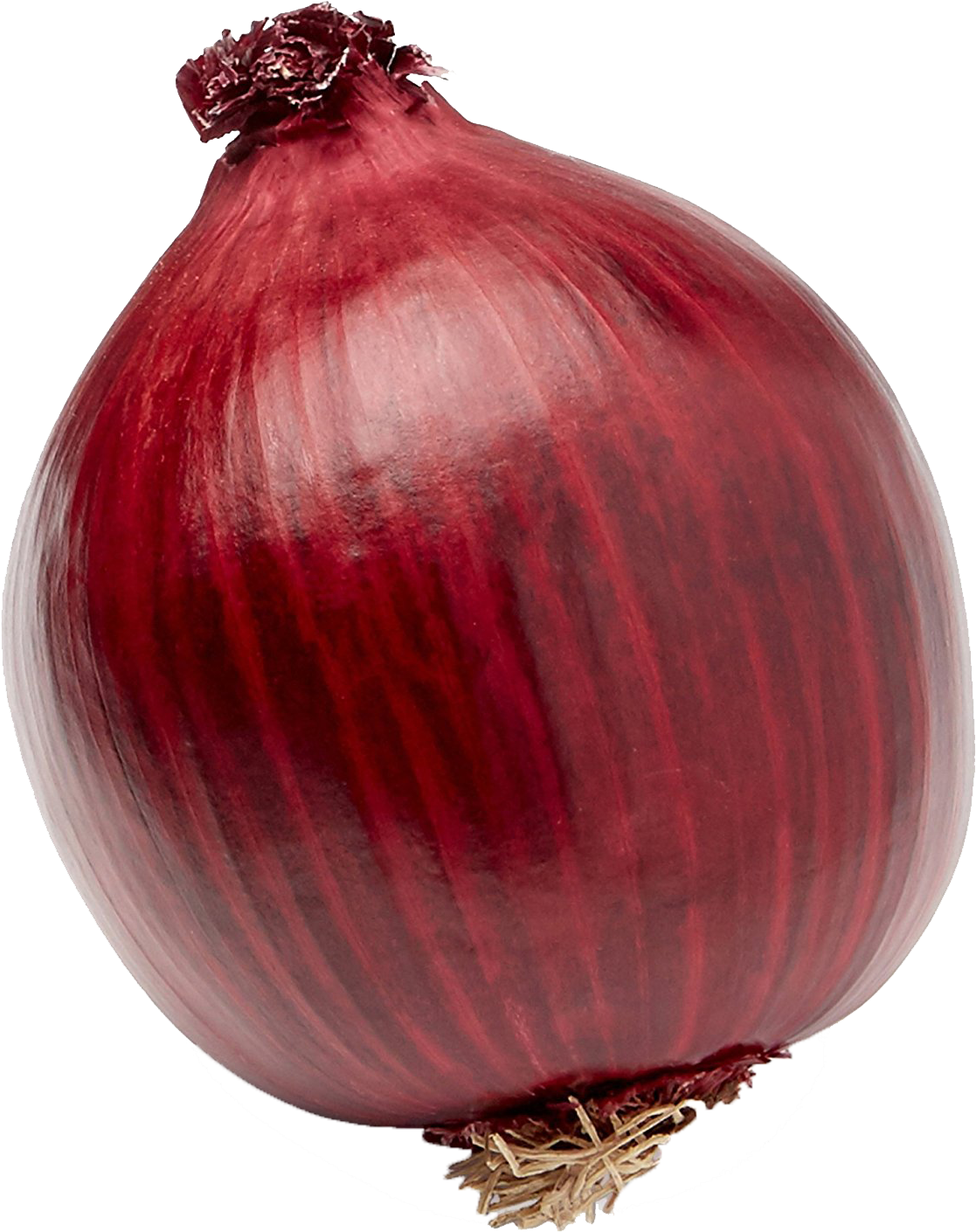 Red Onion Single PNG Image