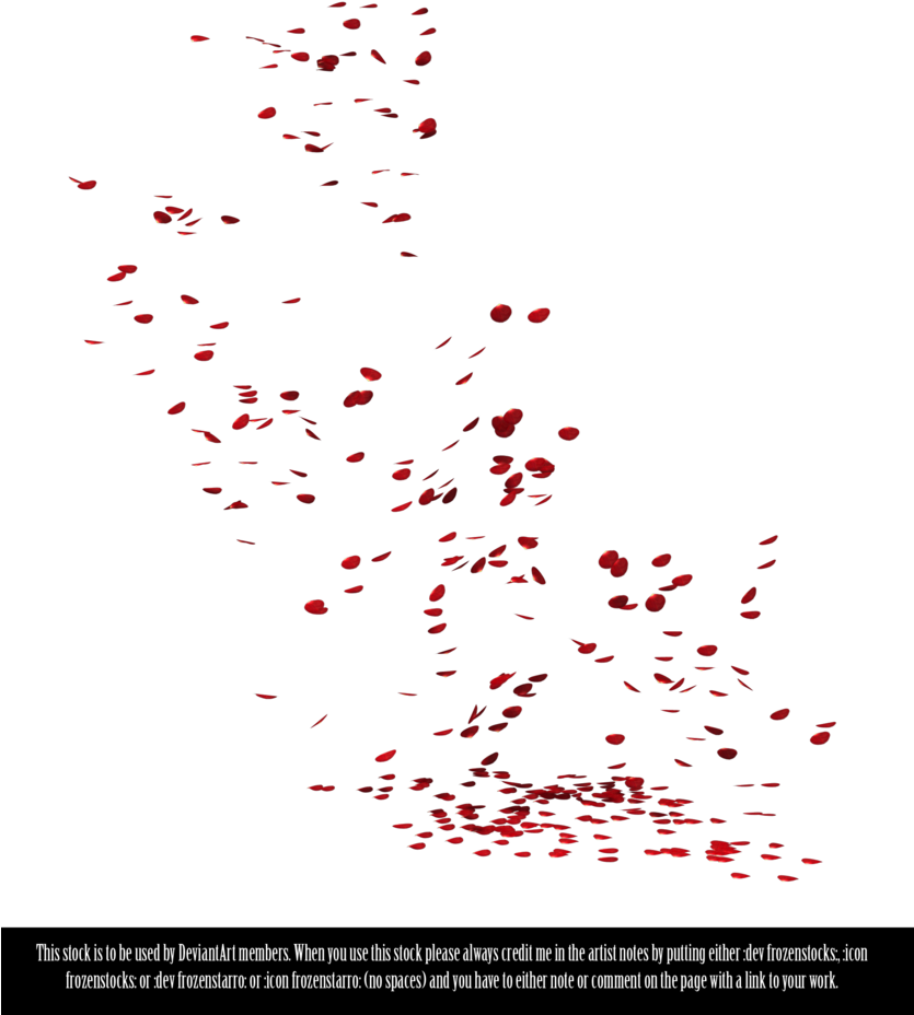 Red Petal Scatter Stock Image PNG Image