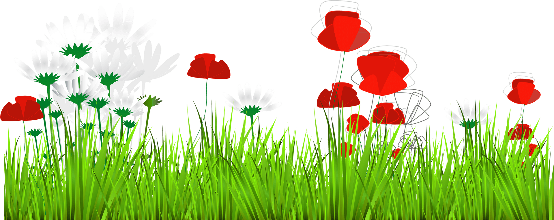 Red Poppiesand White Daisiesin Grass PNG Image