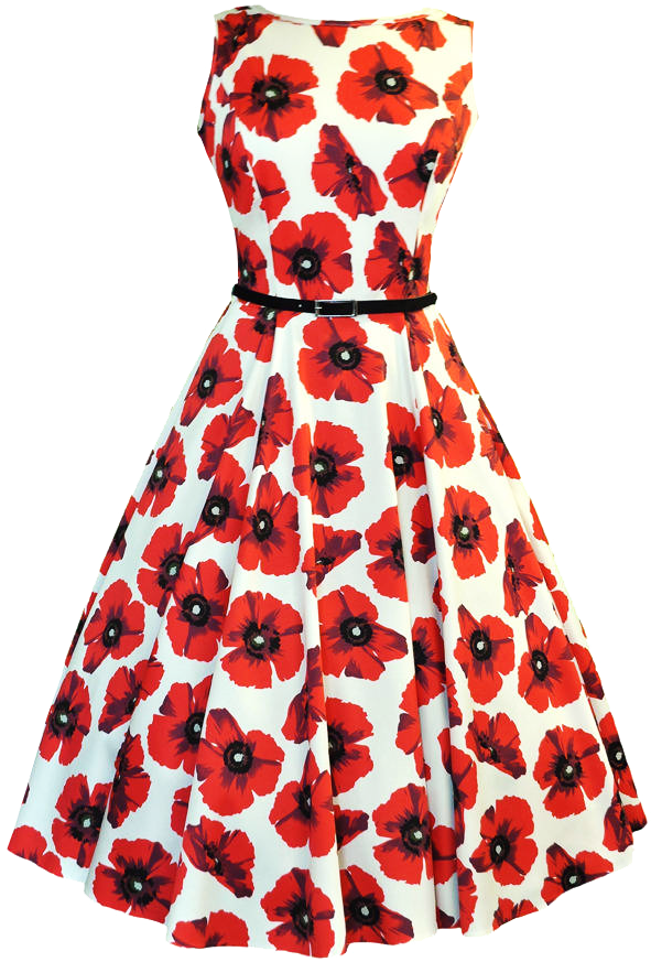 Red Poppy Print Summer Dress PNG Image