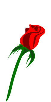 Red Rose Black Background PNG Image