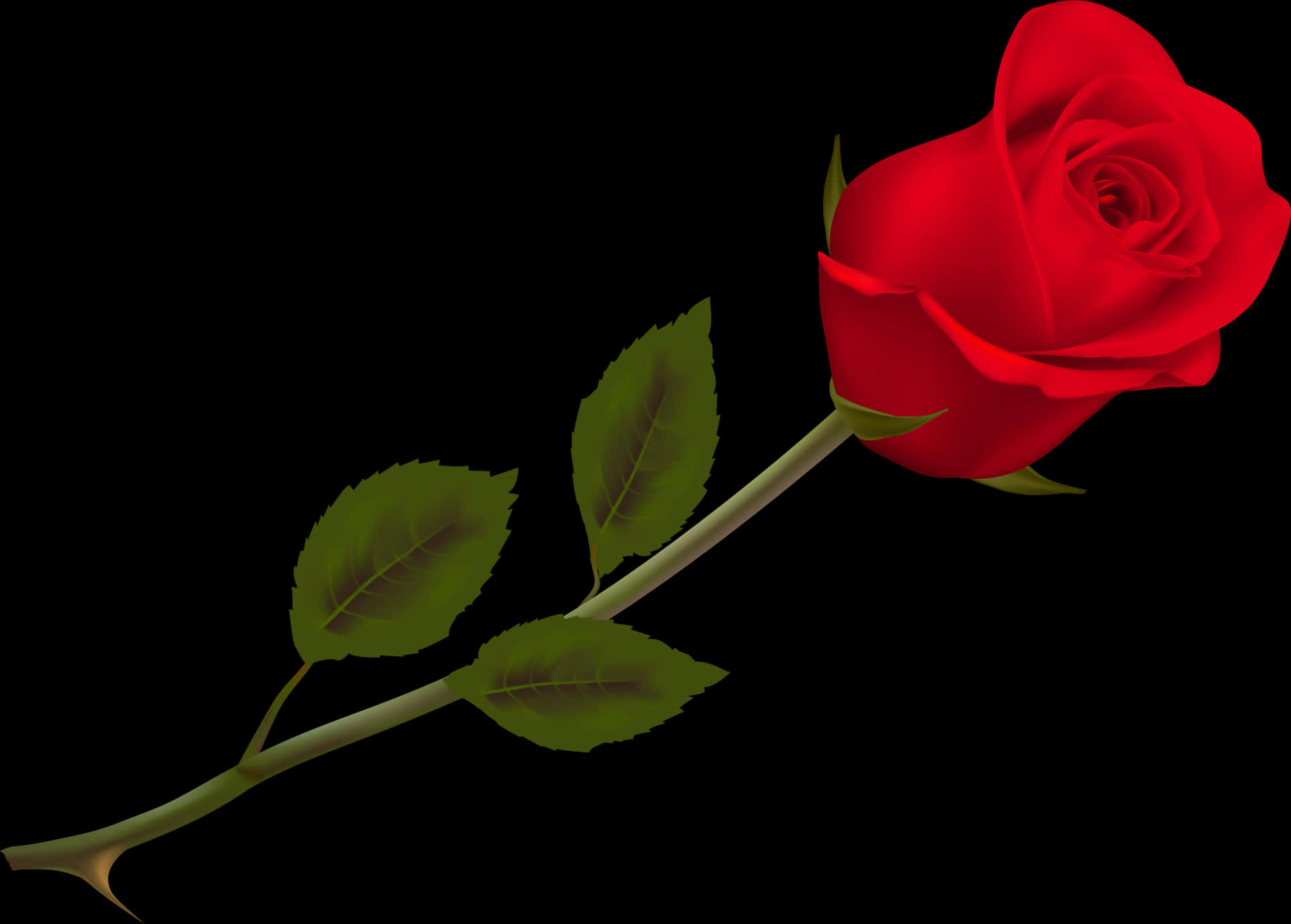 Red Rose Black Background PNG Image