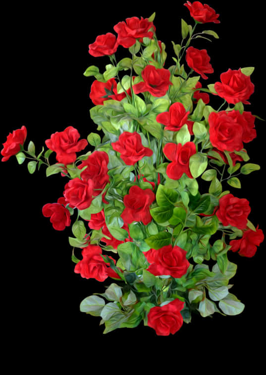 Red Rose Bushon Black Background PNG Image