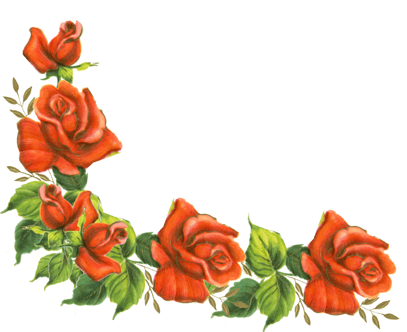 Red Rose Corner Design PNG Image